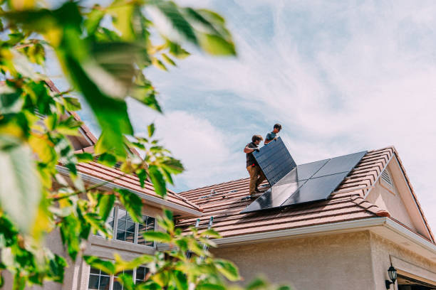 Best Roof Gutter Cleaning  in Newark, NY