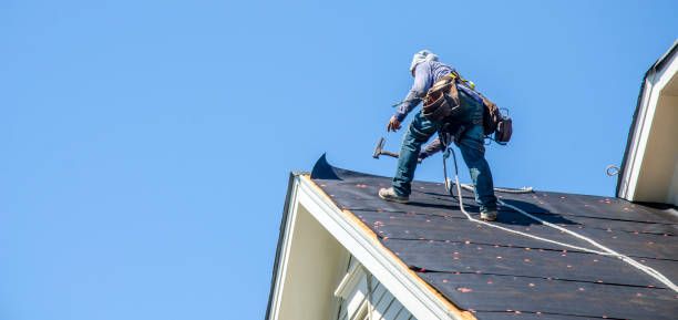 Best Shingle Roofing Installation  in Newark, NY